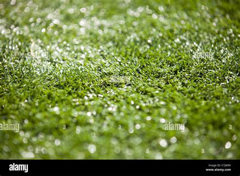 Astro Turf Stock Photo Alamy