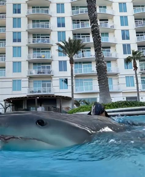 Kori (@kori.yt) | TikTok