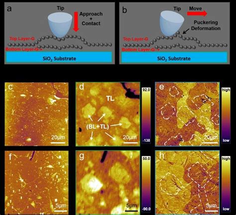 Afm Characterization Of The Cvd Grown Bilayer Graphene Film Transferred