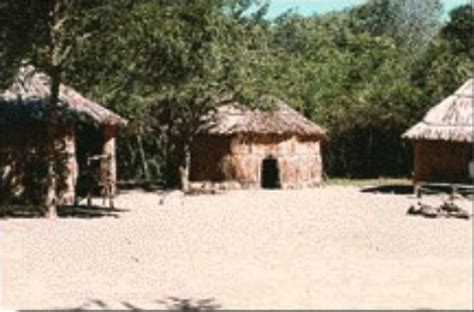 Taino Culture Taino Woods Sanctuary