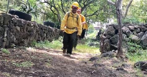 Mantiene Morelos Acciones Preventivas Contra Incendios Forestales