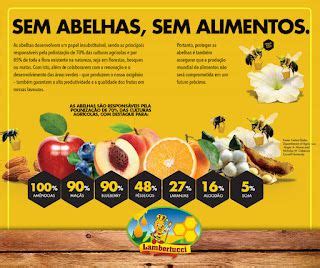 Sem Abelhas Sem Alimentos Alimentos Frutos Silvestres