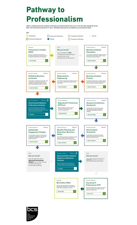 Business Analyst Career Path Reviewing Your Steps