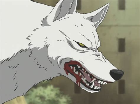 Wolfs Rain E1 Kiba 5 By Giuseppedirosso On Deviantart