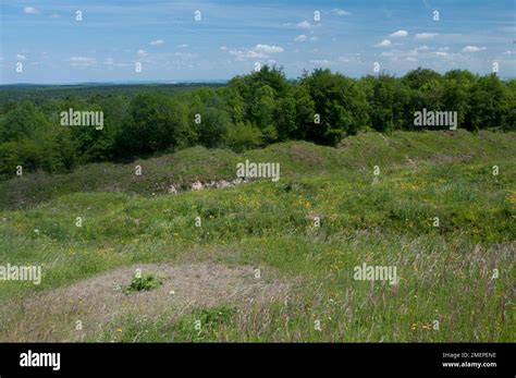 Champs De Bataille Verdun Banque De Photographies Et Dimages Haute