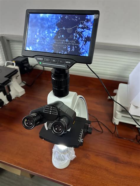 Lx Blt Types Of Light Microscopes Digital Laboratory Biological