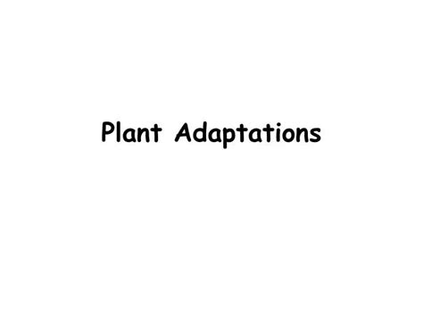 Ppt Plant Adaptations Powerpoint Presentation Free Download Id5251713