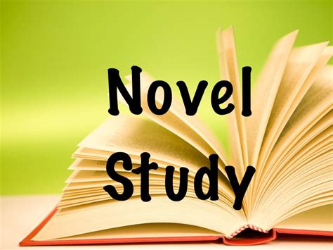 Title Pin Novel Studies Study Novels