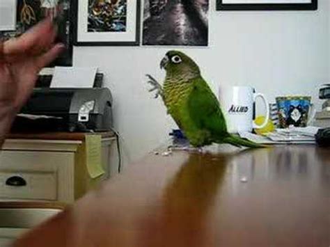 Tricks II - YouTube