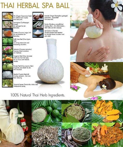 Aromatic Thai Herbal Body Compress Ball 67 Oz 190 G Home Etsy Herbalism Spa Thai Massage