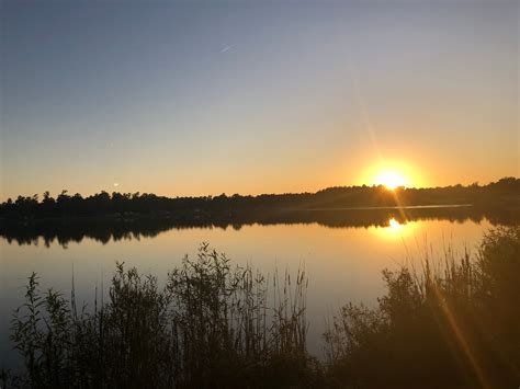 Willow Tree Rv Resort Longs Sc