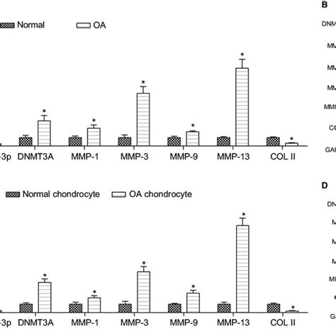 The Expression Levels Of Mir B P Dnmt A Mmps And Col Ii A