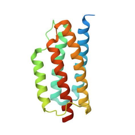 Rcsb Pdb Wy Crystal Structure Of The Ph Protein From