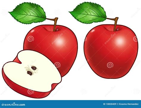 Apples Cartoons Illustrations Vector Stock Images 35294 Pictures