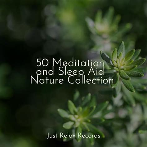 Spiele Meditation And Sleep Aid Nature Collection Von Musica Reiki