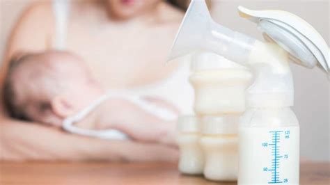 How To Make Breastmilk Fattier In The Most Natural Manner She Loves Best