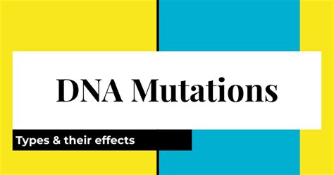 Dna Mutations Notes Google Slides