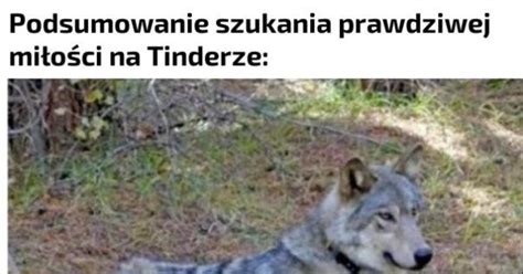 Tinder Taki Jest Jeja Pl