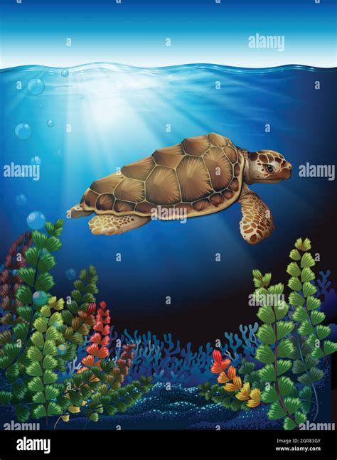 A sea turtle underwater Stock Vector Image & Art - Alamy