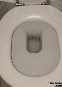 Spider Toilet GIF - Find & Share on GIPHY