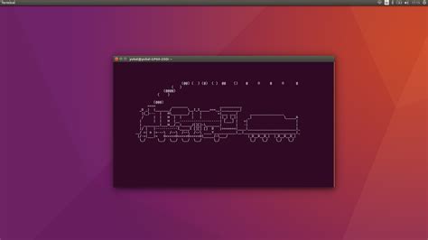 Linux Paso A Paso Los Cinco Comandos Para La Terminal Que Todo Usuario