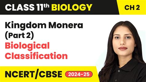 Kingdom Monera Part 2 Biological Classification Class 11 Biology Chapter 2 Cbse 2024 25