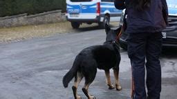 Gro Einsatz Gegen Schleuserkriminalit T Weitere Durchsuchungen Auch