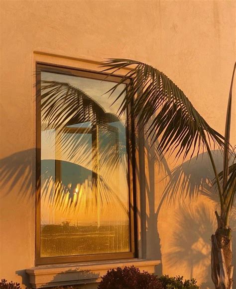 Golden Hour Palm Tree In 2021 Abstract Artwork Aesthetic Wallpapers