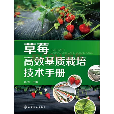 《草莓高效基质栽培技术手册》电子书下载、在线阅读、内容简介、评论 京东电子书频道