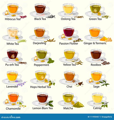 Different Herbal Tea In Cups And Teapots Cartoon Vector Cartoondealer