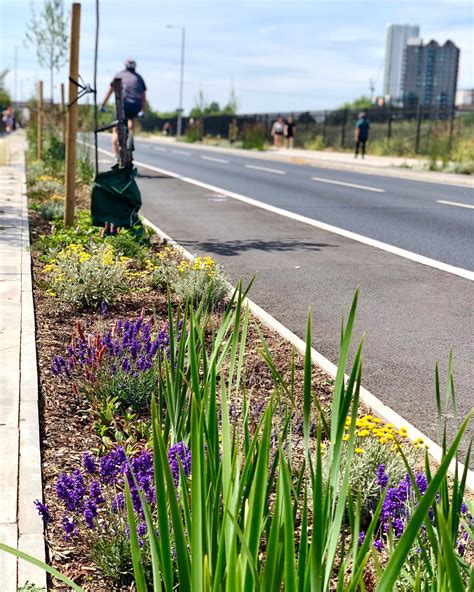 Meristem Design Suds And Rain Gardens To Prevent Fooding In London