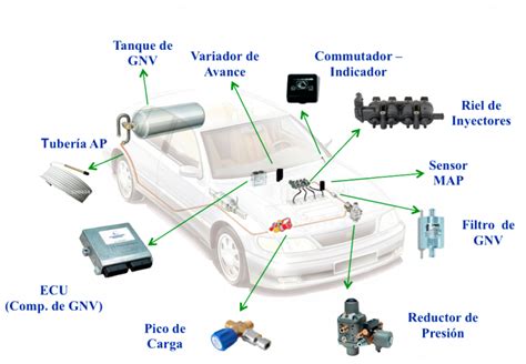 Nuestros Equipos