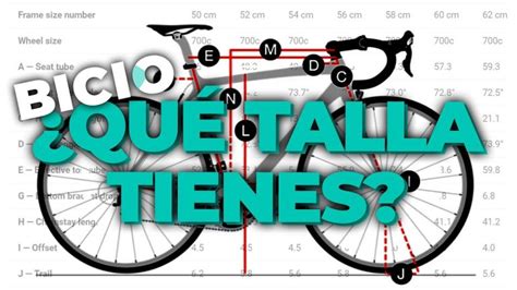 Calcular Talla Bicicleta Giant Carretera