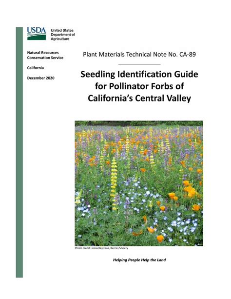 Pdf Seedling Identification Guide For Pollinator Forbs Of Dokumen Tips