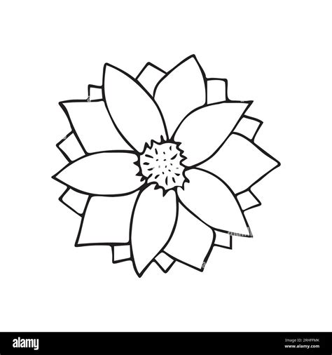 Vector Hand Drawn Doodle Sketch Water Lily Flower Isolated On White