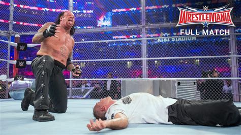 The Undertaker Vs Shane Mcmahon Hell In A Cell Match Wrestlemania