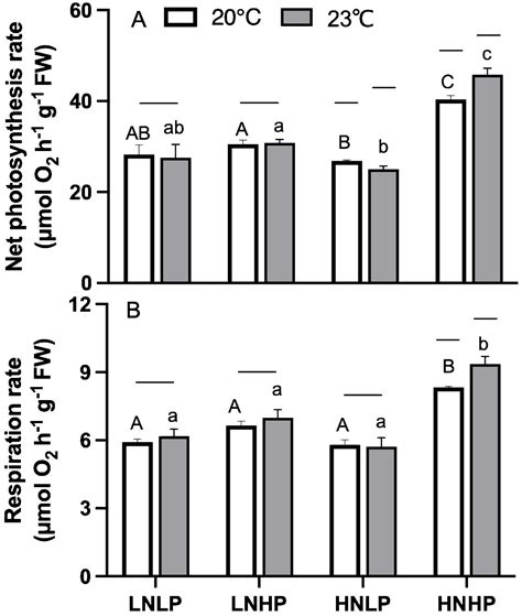 Frontiers Photosynthetic Performance And Antioxidant Activity Of Gracilariopsis Lemaneiformis