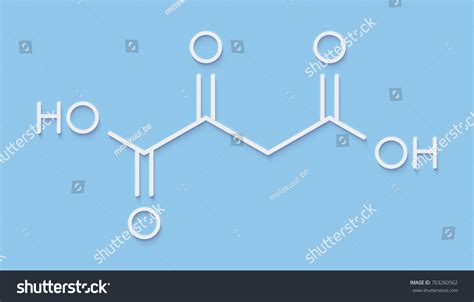 Oxaloacetic Acid Oxaloacetate Metabolic Intermediate Molecule Stock