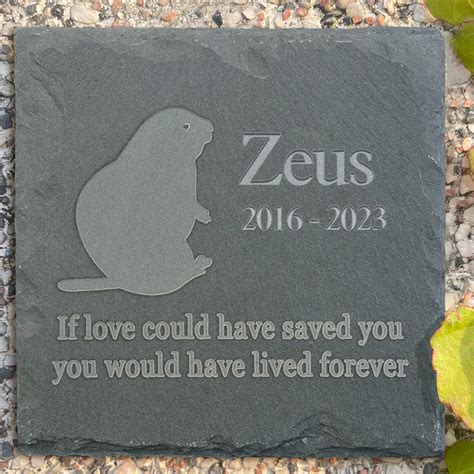 Amazon Vapcuff Pet Memorial Stones Pet Memorial Gifts For Guinea