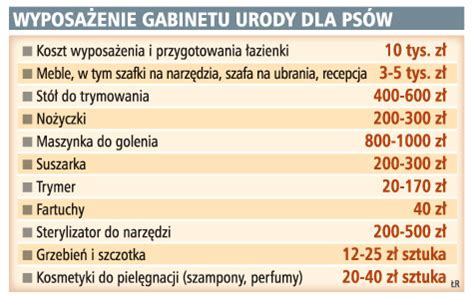 Ile można zarobić na hotelu dla psów Fundacja dla kociąt