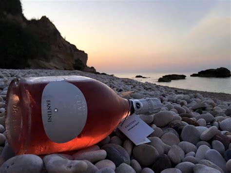 Rượu Vang Hồng FARNESE Fantini Gran Cuvée Rosé RƯỢU NGON 247