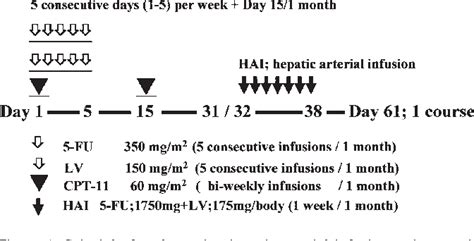 Figure 1 From Alternating Hepatic Arterial Infusion And Systemic