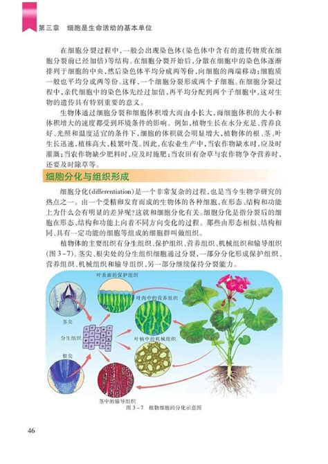 七年级上册生物学pdf高清电子课本，苏教版初中生物七八年级上下册电子教材！资源初一电子