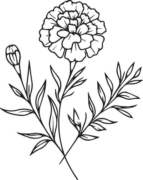 Black Marigold Wall Art Marigold Wall Print Marigold Drawing Tattoo