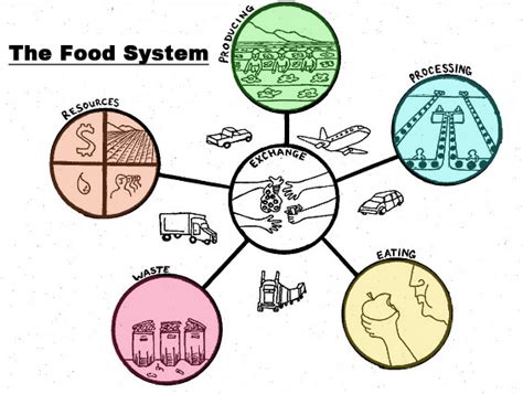 Food Sustainability Anhe