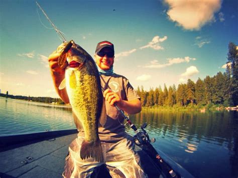 Flipping And Pitching For Summertime Bass