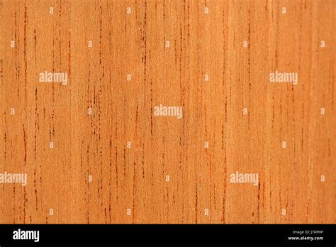 Detail Closeup Tree Wood Brown Brownish Brunette Branch Abstract Cedar