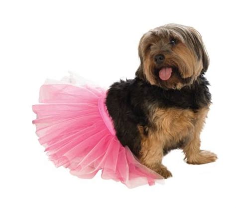 Pink Dog Tutu - Pet Costume Center