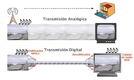 Qué es y qué tipos de conectividad de redes existen