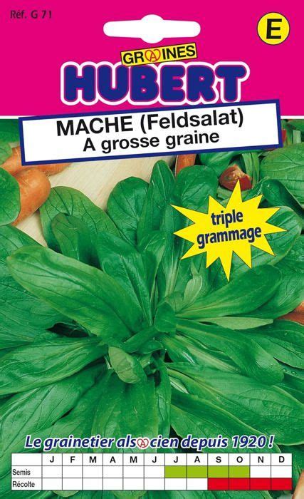 Graines De Mache Feldsalat A Grosse Graine 12 Grammes Q461